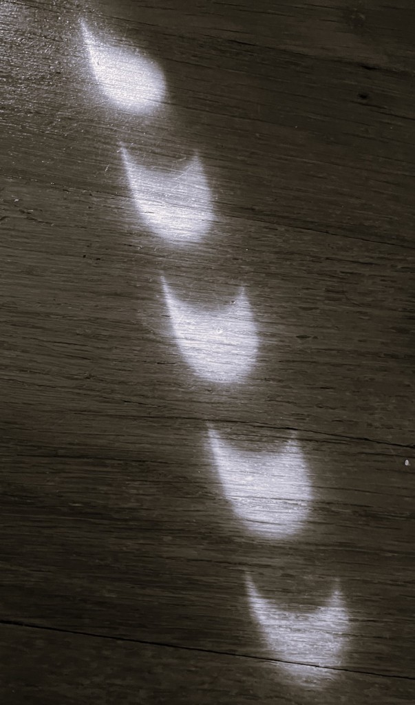 A black and white photograph of an aged wood floor showing the crescent shaped shadows of a total solar eclipse.  Photo by Kat Karney.